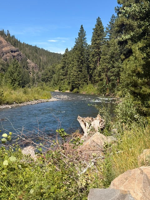 PNW4WDA Trail Jamboree 2026 — highlight 3 of 3